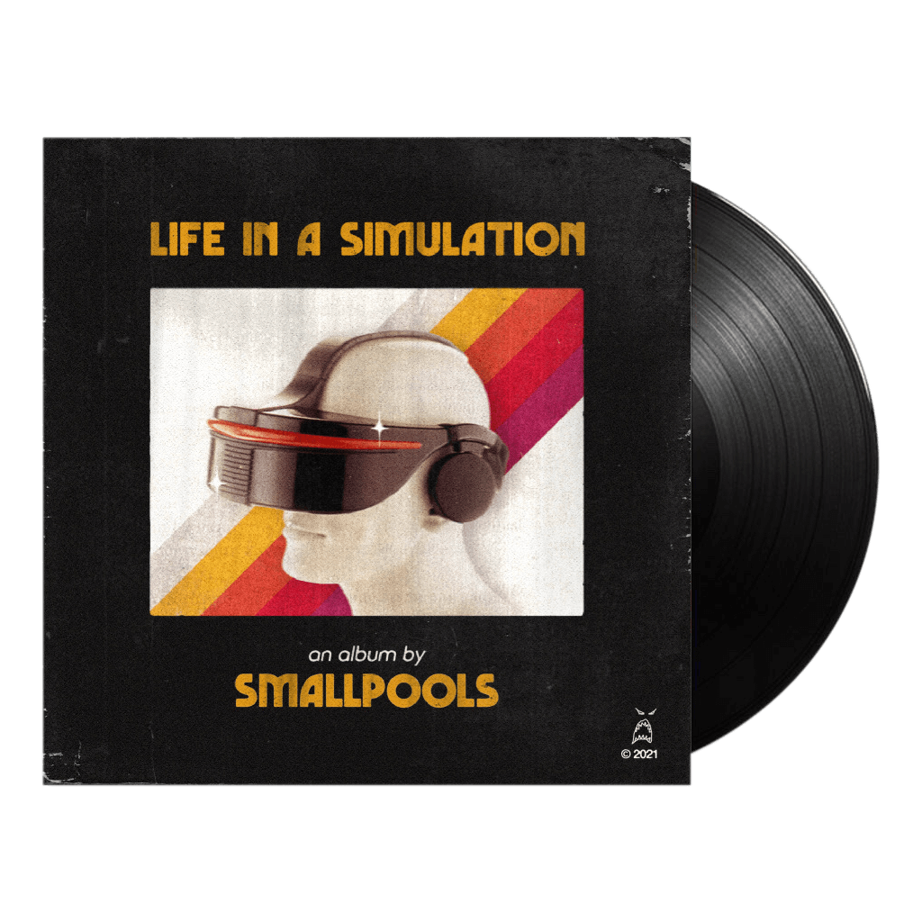 Life In A Simulation 12" Vinyl